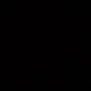 Meet your Posher, Ash